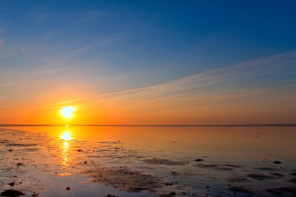 Aphrodite Met Zonnig Terras, Eigen Keuken, Verwarmd Hotel-Zwembad, Nabij Dorp, Duinen En Strand Hollum  Szoba fotó