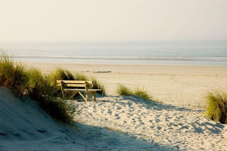 Aphrodite Met Zonnig Terras, Eigen Keuken, Verwarmd Hotel-Zwembad, Nabij Dorp, Duinen En Strand Hollum  Kültér fotó