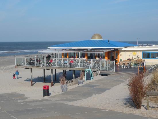 Aphrodite Met Zonnig Terras, Eigen Keuken, Verwarmd Hotel-Zwembad, Nabij Dorp, Duinen En Strand Hollum  Kültér fotó